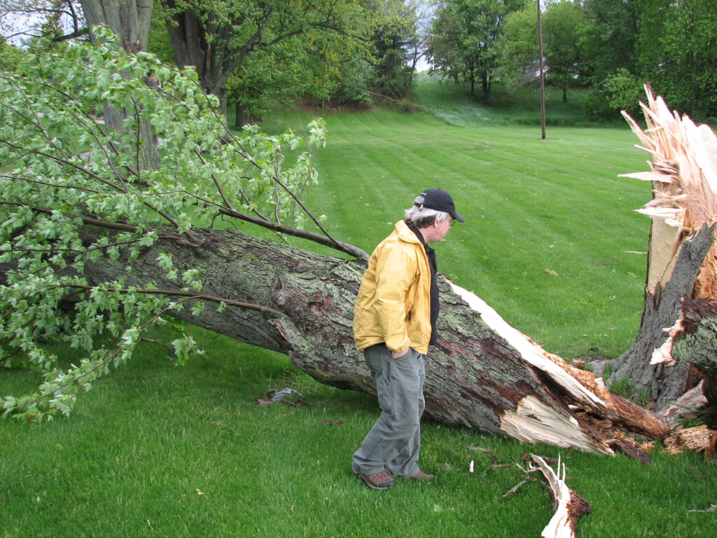 Storm Tree Damage