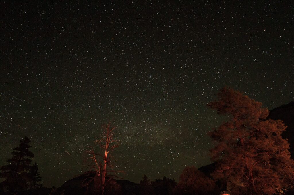 Zion at night