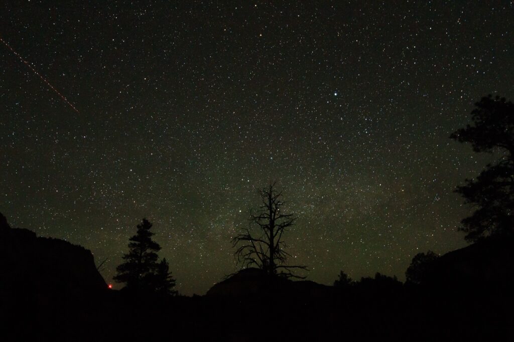 Night Sky in Zion