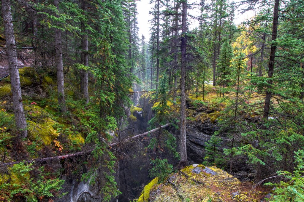 Beautiful Maligne Canyon in Jasper National Park Alberta, Canada.