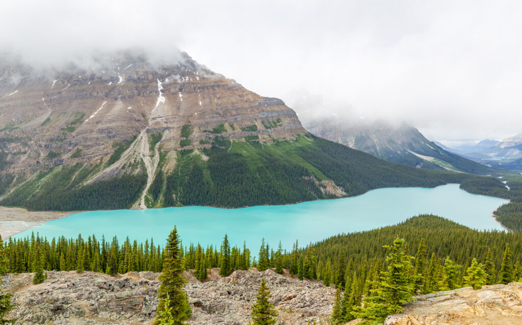 Peyto Lake in Banff National Park, Alberta Canada