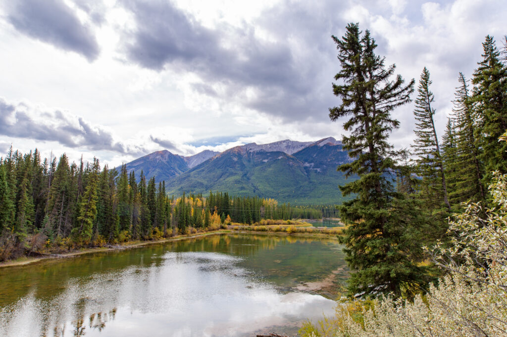 Muleshoe Lake/Bend in Banff National Park