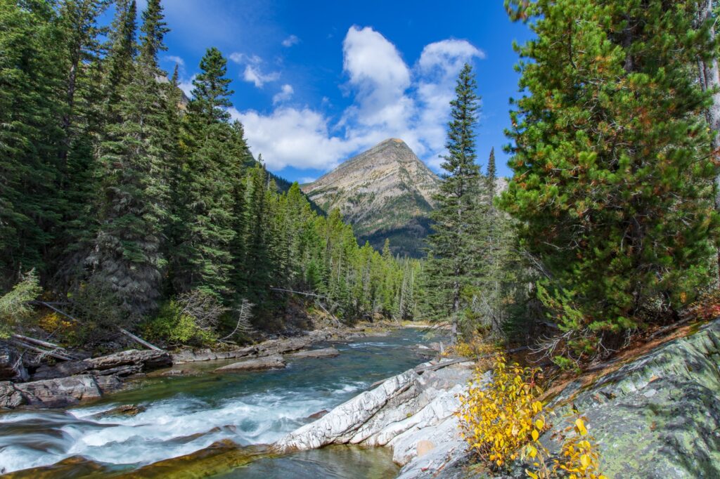 Waterton River