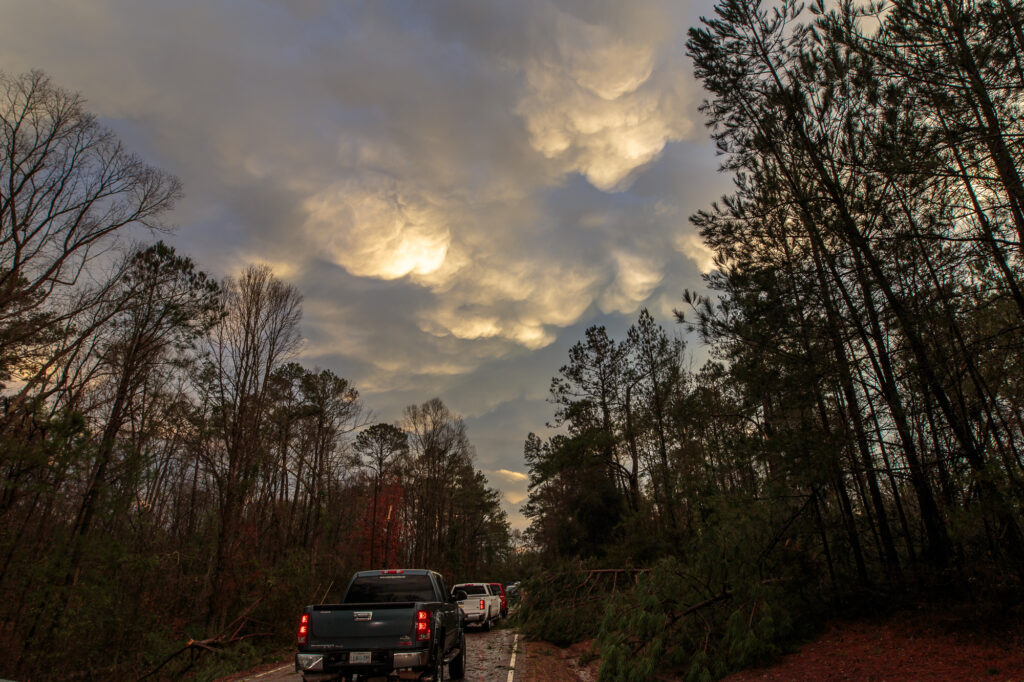 Mammatus and Tree Damage in Mt. Olive, MS