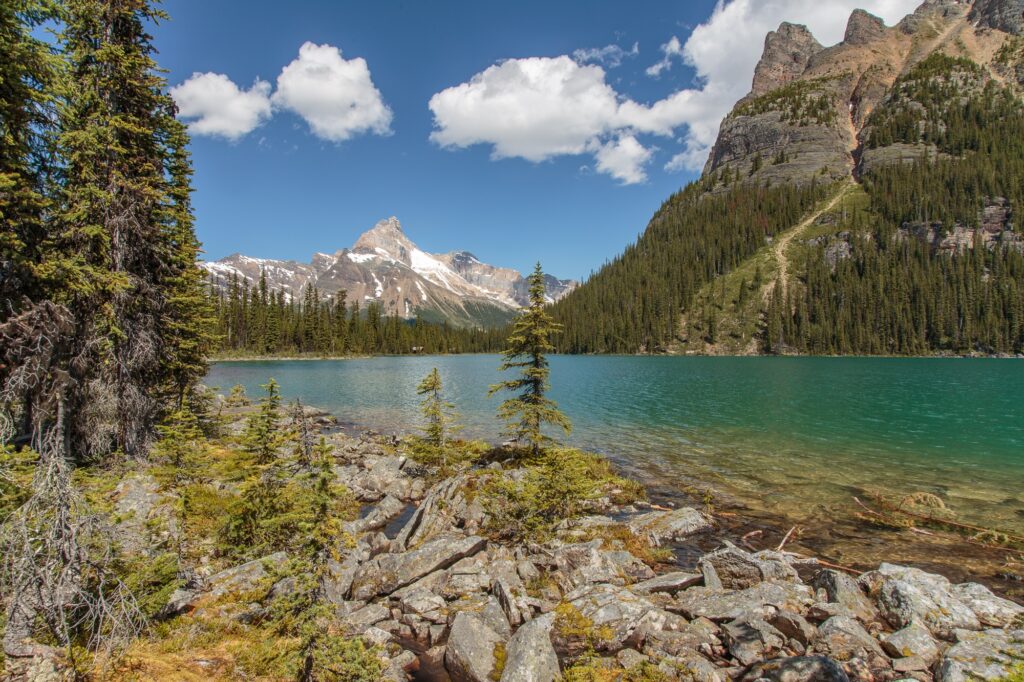 Beautiful Lake O'Hara in Yoho National Park