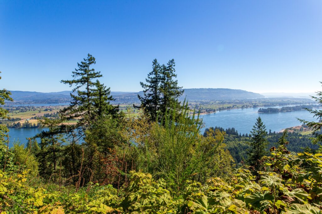 Overlooking the Columbia River at the Bradley State Scenic Viewpoint