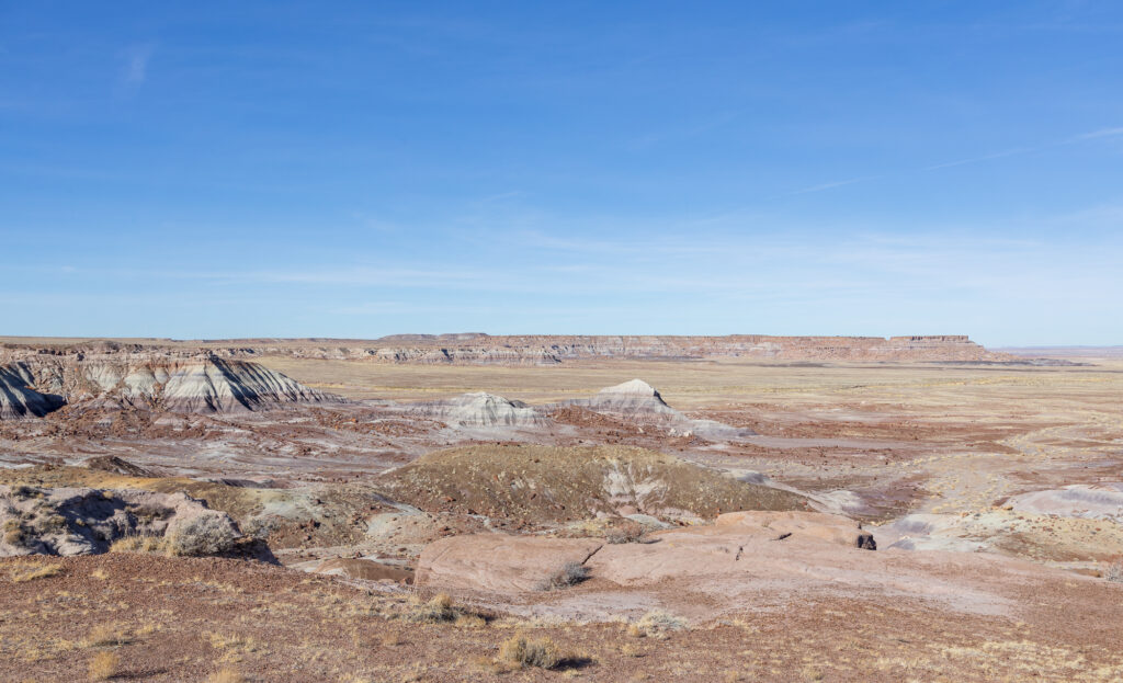 Jasper Forest Overlook